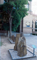 Jardín de piedras del Museo de Ciencias Naturales de Madrid. La materia orgánica de los árboles ha sido sustituida por sílice.