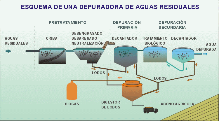 Esquema de funcionamiento de una planta depuradora de aguas residuales. Animación: De Mier y Leva