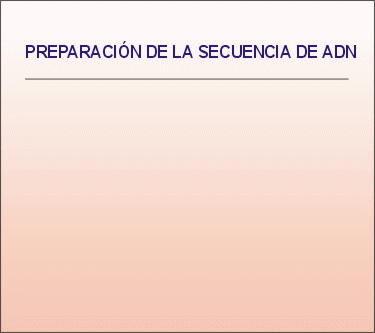 Resumen. Animación: De Mier y Leva