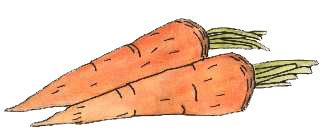 Zanahorias