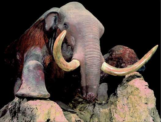 Mamut de Berezovka. Tomada de www.creationscience.com