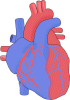 Corazón