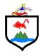 Escudo de Cayey