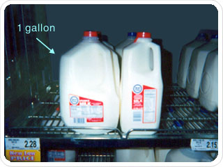 gallon gal definition vmd milk english