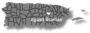 Localizacin de Aguas Buenas