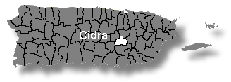 Localizacin de Cidra