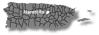 Localizacin de Naranjito