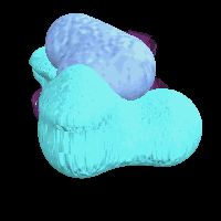 "Ribosomas"