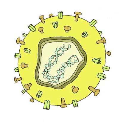 "Virus"