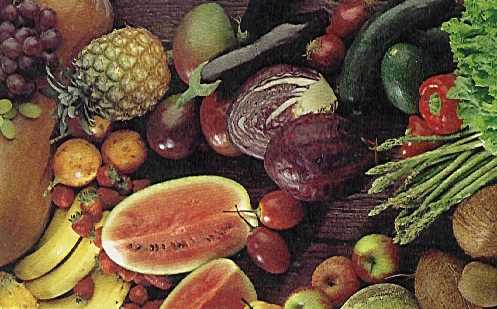 "En la imagen se observan semillas y frutos, estructuras  exclusivas de vegetales, pero también yemas, similares a las animales. Tomada de planeta.clix.p"
