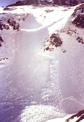 La cantidad de nieve y hielo que se desplaza en un alud puede producir enormes destrozos.