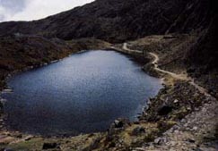 Laguna glaciar