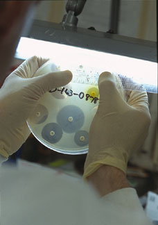 Los antibióticos y hormonas son unos de los productos más habituales obtenidos por Ingeniería Genética. Tomada de www.labtestsonline.org