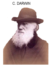 Darwin